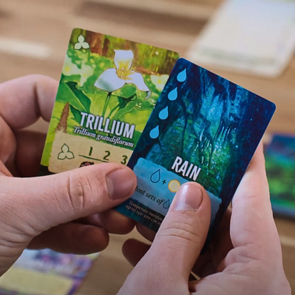 Canopy Evergreen Standard Edition | Weird City Games