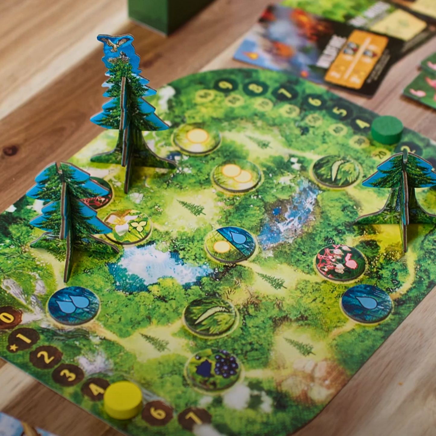 Canopy Evergreen Standard Edition | Weird City Games
