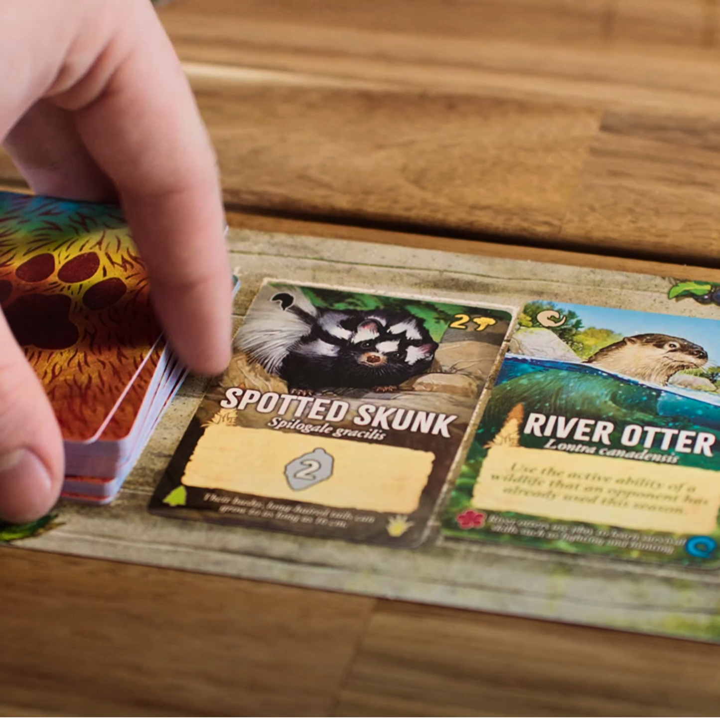 Canopy Evergreen Standard Edition | Weird City Games