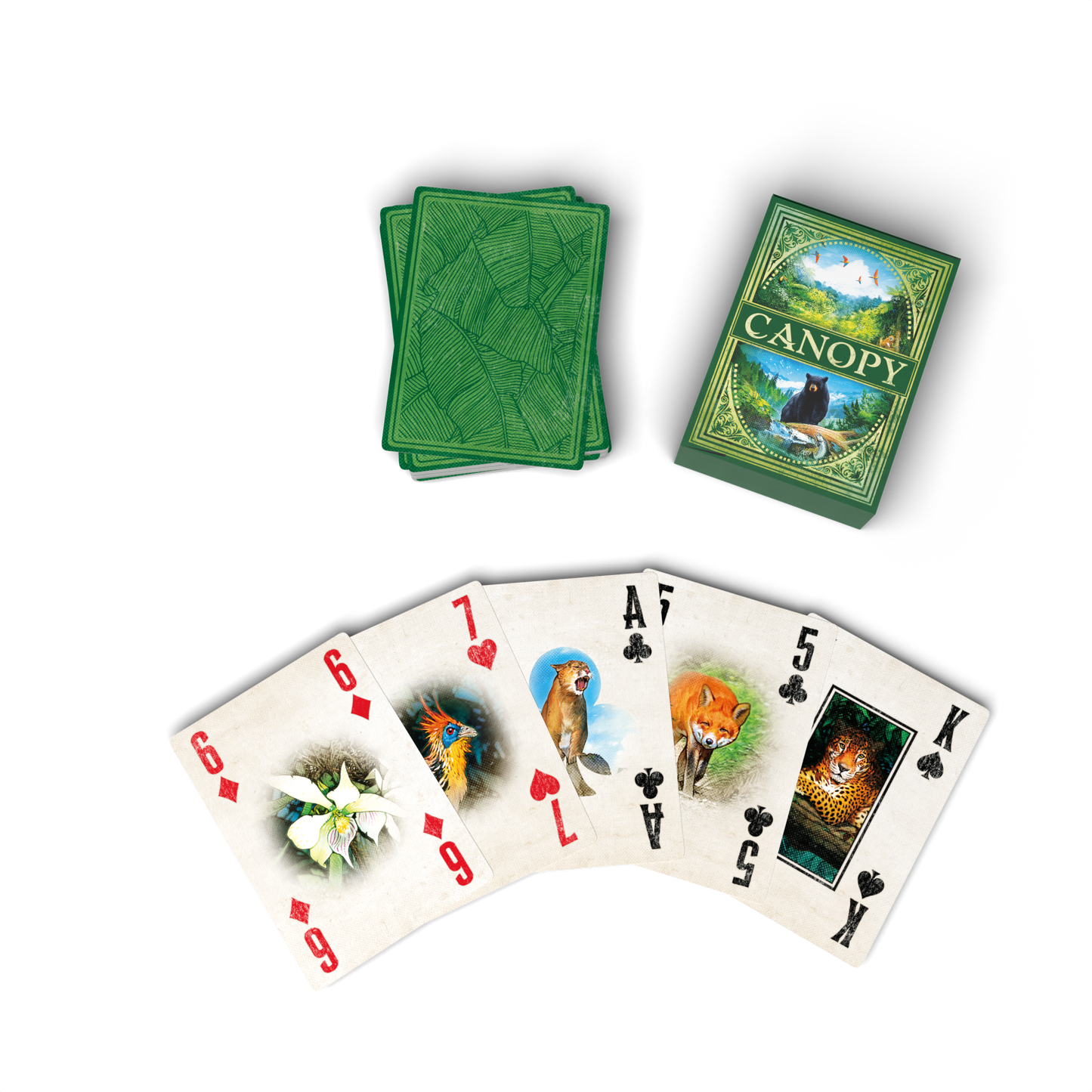 Canopy Playing Cards | Weird City Games