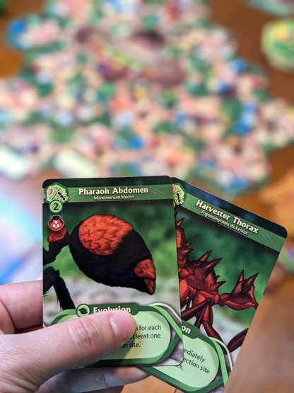 March of the Ants: Evolved Edition Standard Edition