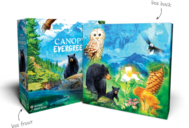 Canopy Evergreen Deluxe Edition | Weird City Games